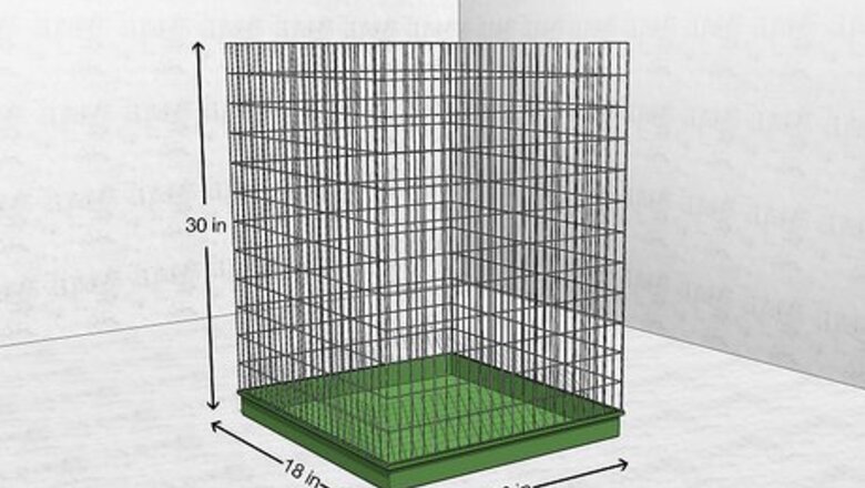 How to Care for a Ferret