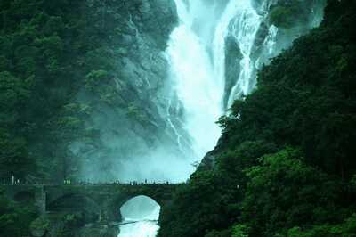 Bitten By the Travel Bug? 5 Stunning Waterfalls in Goa That You Must Visit