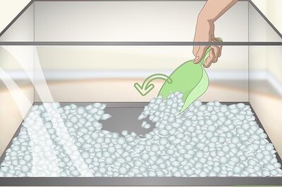 How to Build a Vivarium