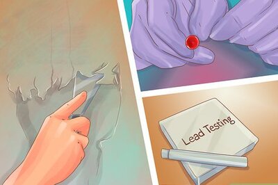 How to Protect Pets from Home Repair Dangers