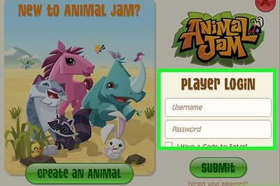 How to Play Best Guess on Animal Jam