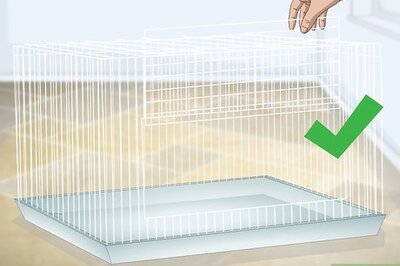 How to Set up a Mouse Cage