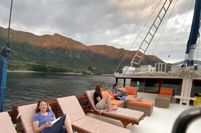 Missing Female Diver's Remains Found Inside Shark, Friend Insists 'Death Wasn't An Attack'