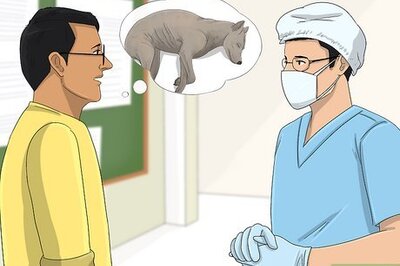 How to Cope With Having a Dog Put Down