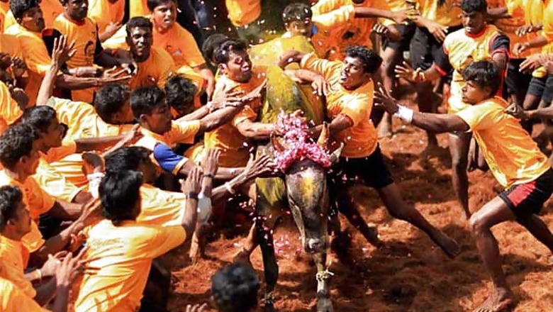 Protests in Tamil Nadu after SC refuses to vacate stay on Jallikattu