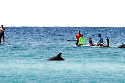 Memorial Day: Expect Crowded Airports, Packed Florida Hotels