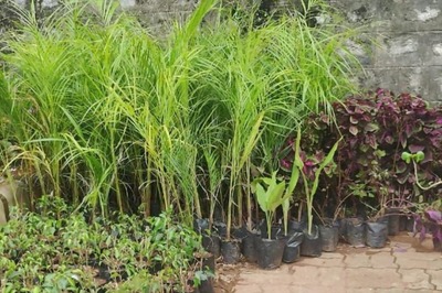 Mangaluru District Jail Opens Nursery Run By Inmates Under Green Rehabilitation Initiative