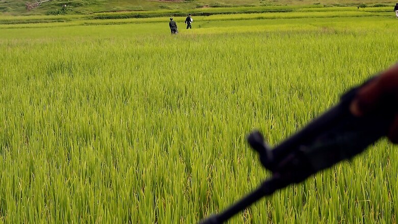 Mass Graves of Hindus: India Asks Myanmar to Punish Perpetrators