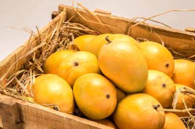 Mango Season: Is It Safe For People With Diabetes to Eat Mangoes?