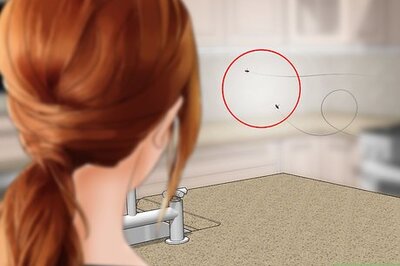 How to Get Rid of Flesh Flies