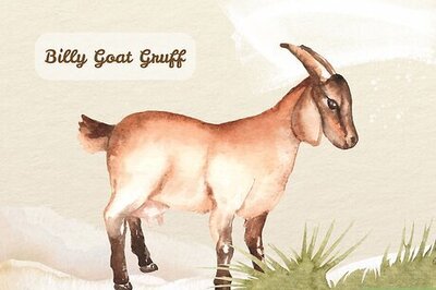 350 Best Names for Male and Female Goats