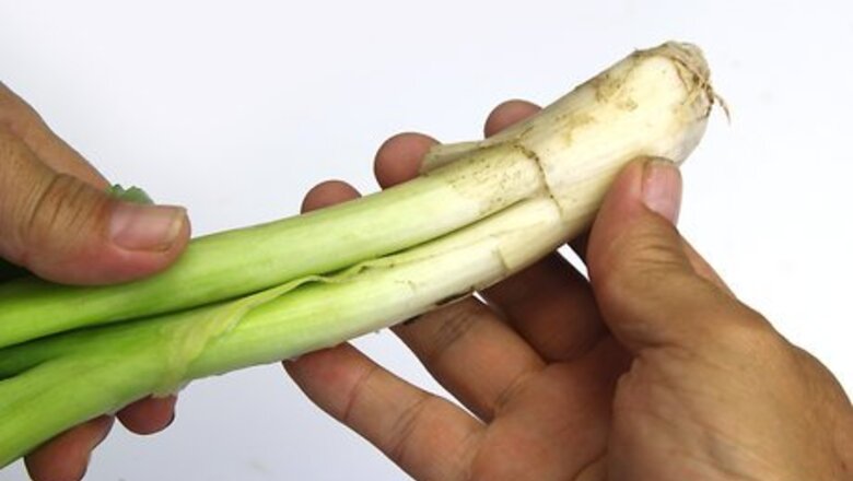 How to Select and Use Leeks