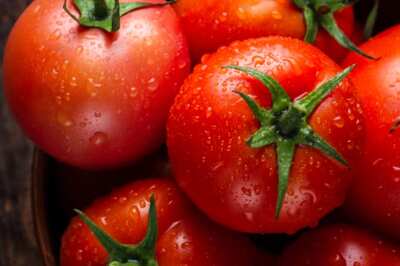 Another 'Heist'? Truckload of Tomatoes Bound for Jaipur from Karnataka Goes 'Msing'