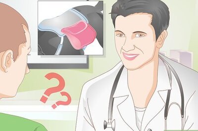 How to Fit a Dog Backpack