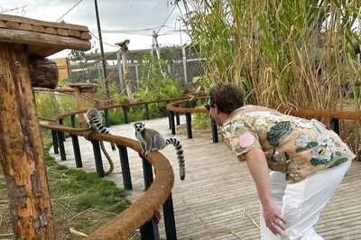 Zuckerberg in Nature: See in Pics Meta Boss Reveal His 'Wild' Side at Vantara