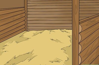 How to Muck out a Stall With Shavings