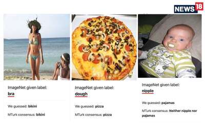 AI Is Getting A Few Things Wrong, Because Humans May Have Incorrectly Labeled A Bunch Of Images