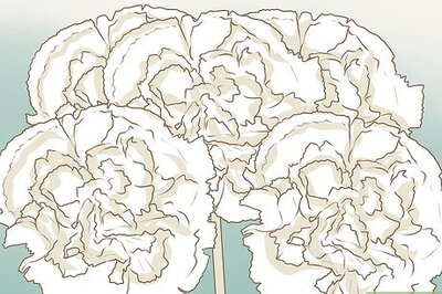 How to Make Multi Colored Carnations
