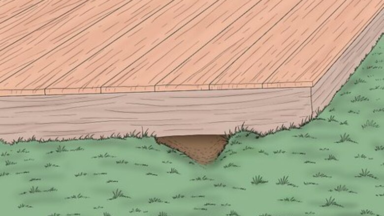 12 Ways to Make Skunks Leave your Yard or Garden