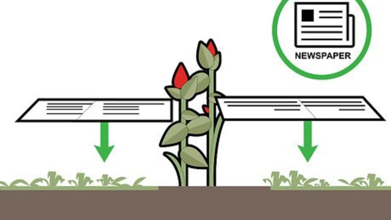 How to Kill Grass Invading a Flower Bed