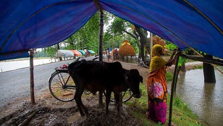 Over 1,000 Evacuated as Heavy Rains Lash Gujarat; Flood Waters Recede in Assam
