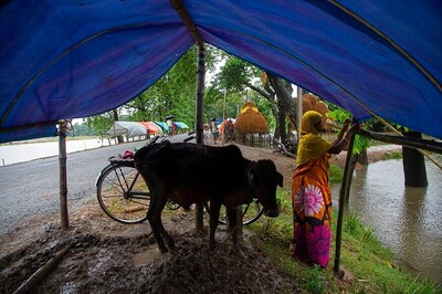 Over 1,000 Evacuated as Heavy Rains Lash Gujarat; Flood Waters Recede in Assam
