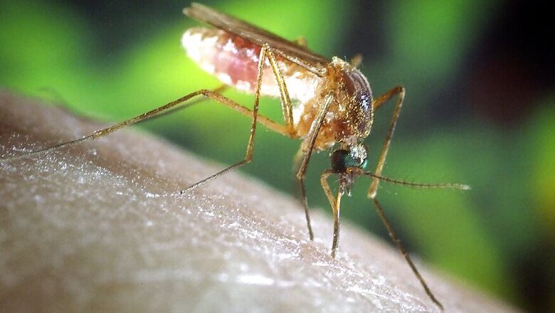 Bangladesh Witnesses Worst Dengue Fever Outbreak in 2019