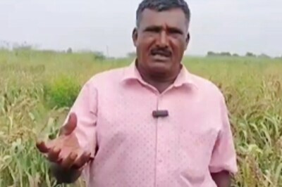 How This Virudhunagar Farmer Is Earning Lakhs With Horsetail Plant Cultivation