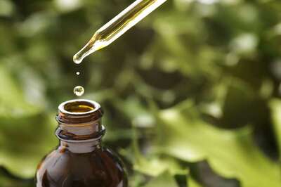 Essential Oils Give You The Spring Detox You Need