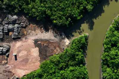 Green Investing In 2024: Sustainable Finance Opportunities For Investors