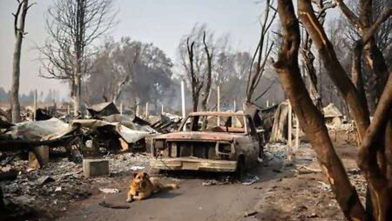 Arson Probe Opened Into Deadly Oregon Wildfire - Police Chief