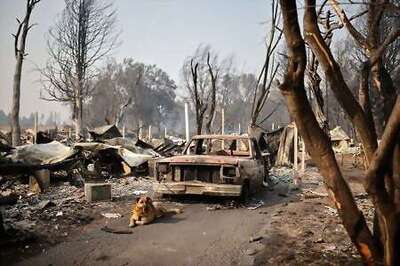 Arson Probe Opened Into Deadly Oregon Wildfire - Police Chief