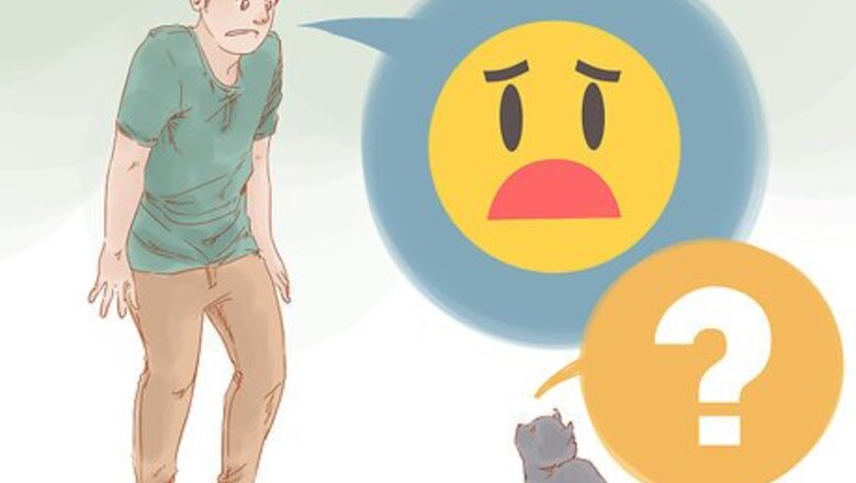 How to Be Brave