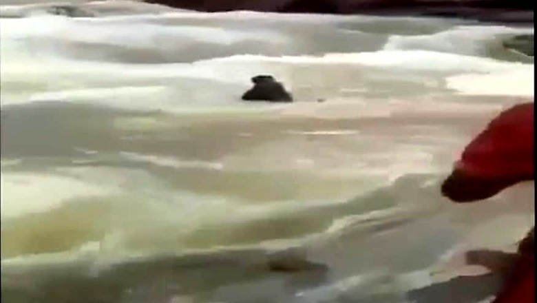 Three of a Family Drown in Telangana Reservoir
