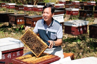 Taiwan Beekeepers Battle to Cash in on Pure Honey Buzz