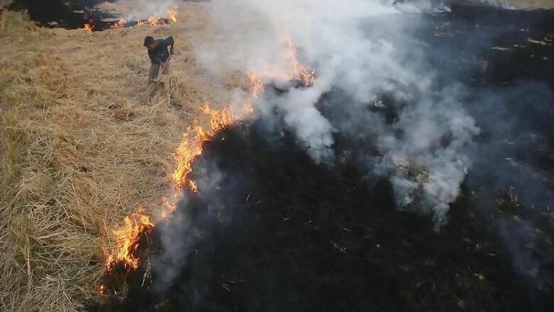 This Punjab Farmer Has Found a Unique Solution to Battle Pollution