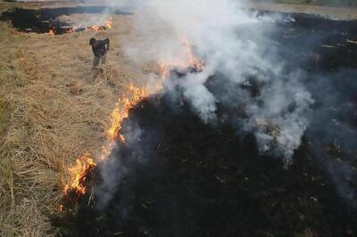 This Punjab Farmer Has Found a Unique Solution to Battle Pollution