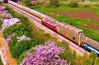 Bengaluru Blossoms: Aerial View Captures IT Capital's Pink Flower Delight
