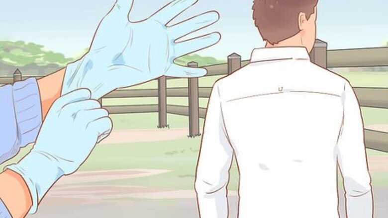 How to Draw a Horse's Blood