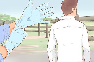 How to Draw a Horse's Blood