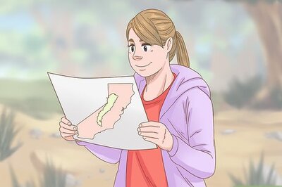 How to Identify a Redwood Tree