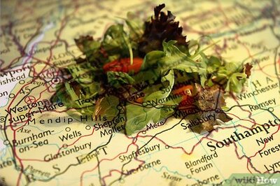 How to Learn to Be an Expert Map Reader