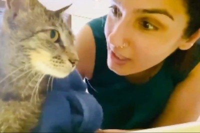 Raveena Tandon's Pet Cat Says 'No' to Bathing