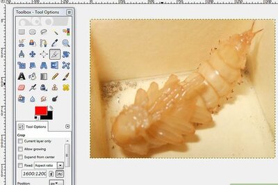 How to Extract an Image in GIMP