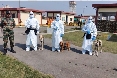 US Covid-19 Death Toll Reaches Milestone of 500,000