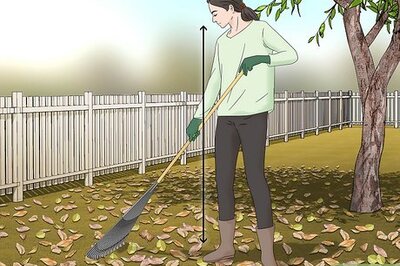 How to Rake Leaves