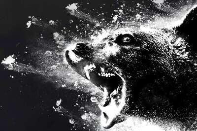 Cocaine Bear: A Twisted Tale of a Drug Smuggler and An Animal Gone Berserk