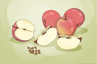 How to Plant Apple Seeds