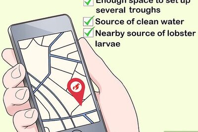 How to Create Lobster Farms
