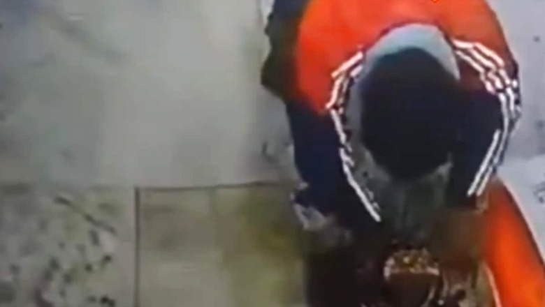 Caught On Camera: Meerut Man Worships Shivling Before Stealing Its Snake Statue